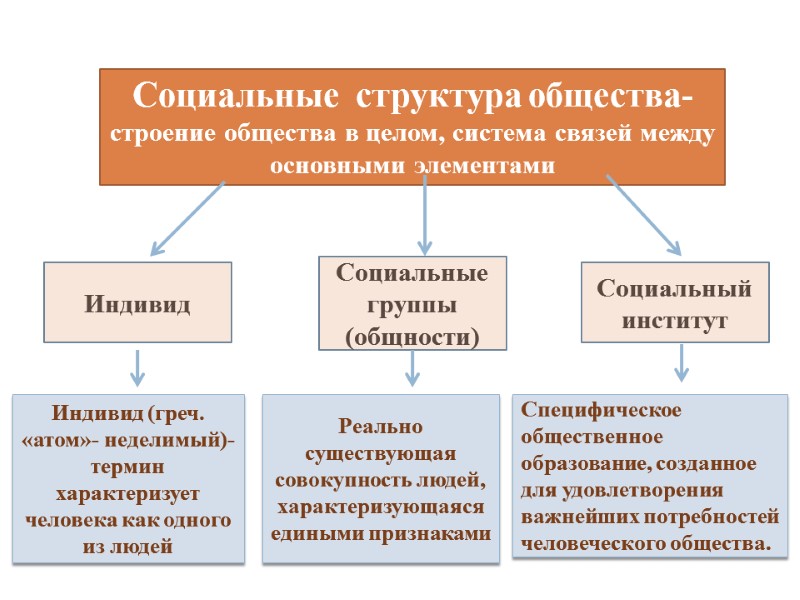 Социальные  структура общества- строение общества в целом, система связей между основными элементами Индивид